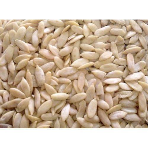 Muskmelon Seeds